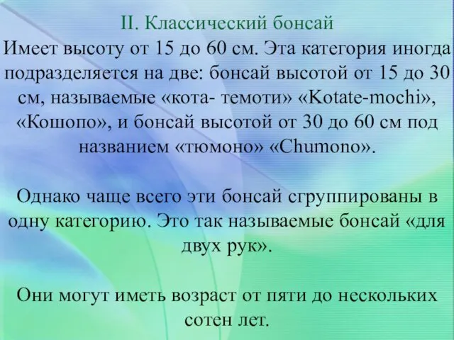 II. Классический бонсай Имеет высоту от 15 до 60 см. Эта