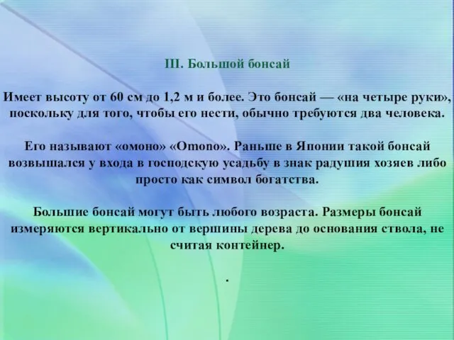 III. Большой бонсай Имеет высоту от 60 см до 1,2 м