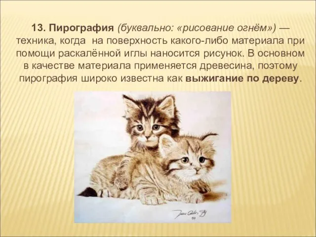 13. Пирография (буквально: «рисование огнём») — техника, когда на поверхность какого-либо