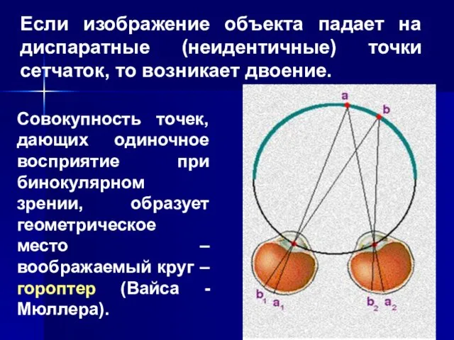 Если изображение объекта падает на диспаратные (неидентичные) точки сетчаток, то возникает