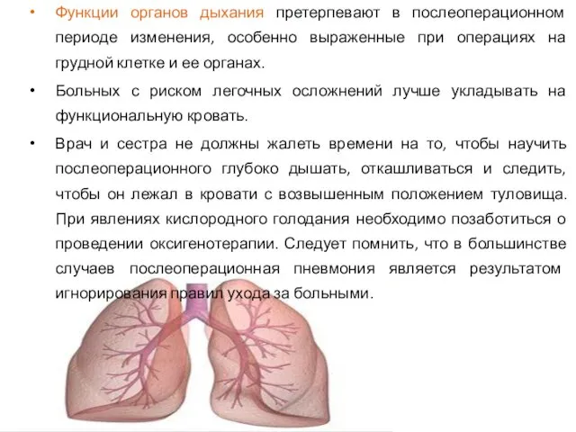 Функции органов дыхания претерпевают в послеоперационном периоде изменения, особенно выраженные при