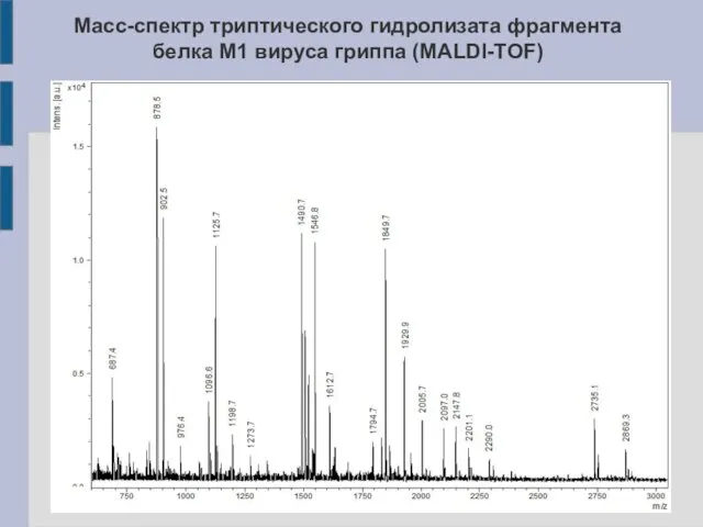Масс-спектр триптического гидролизата фрагмента белка M1 вируса гриппа (MALDI-TOF)