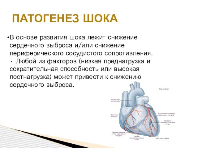 ПАТОГЕНЕЗ ШОКА В основе развития шока лежит снижение сердечного выброса и/или