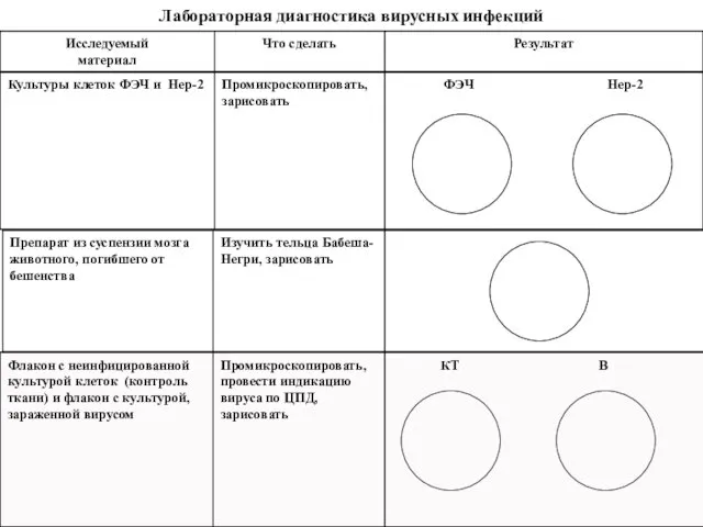 Лабораторная диагностика вирусных инфекций