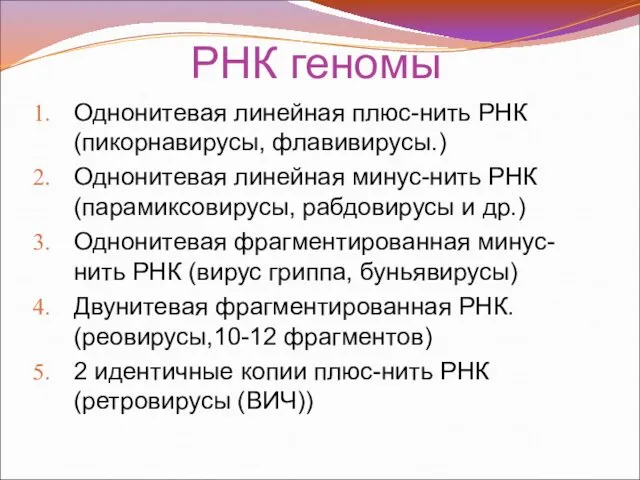 РНК геномы Однонитевая линейная плюс-нить РНК (пикорнавирусы, флавивирусы.) Однонитевая линейная минус-нить