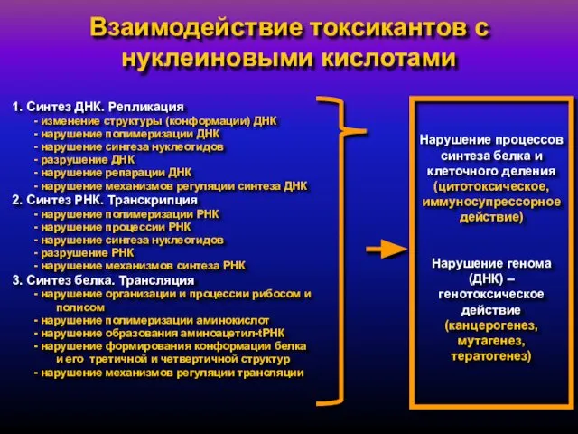 Взаимодействие токсикантов с нуклеиновыми кислотами 1. Синтез ДНК. Репликация - изменение