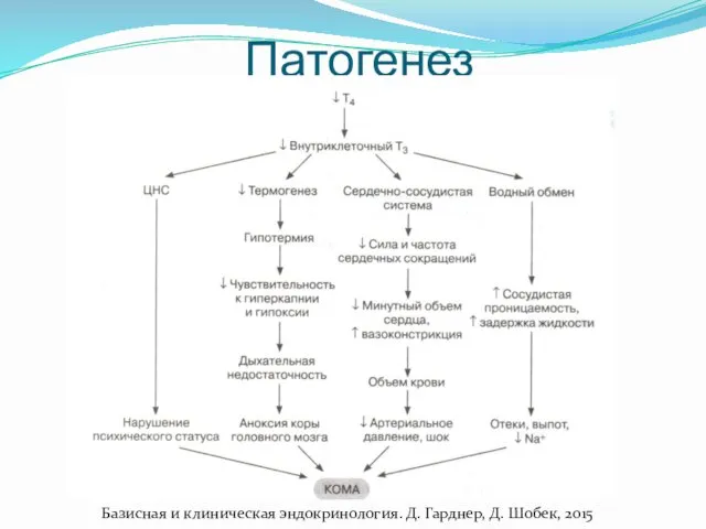 Патогенез Базисная и клиническая эндокринология. Д. Гарднер, Д. Шобек, 2015