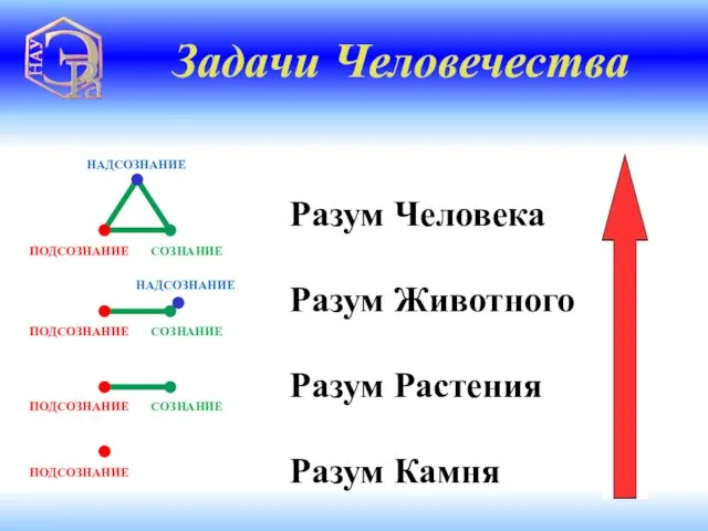 Разум Человека Разум Животного Разум Растения Разум Камня Задачи Человечества