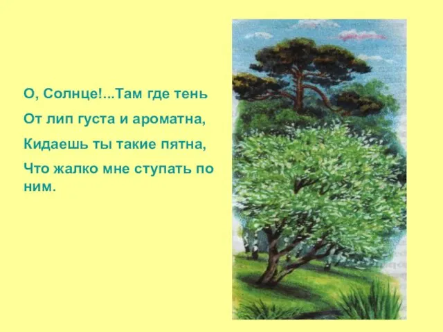 О, Солнце!...Там где тень От лип густа и ароматна, Кидаешь ты