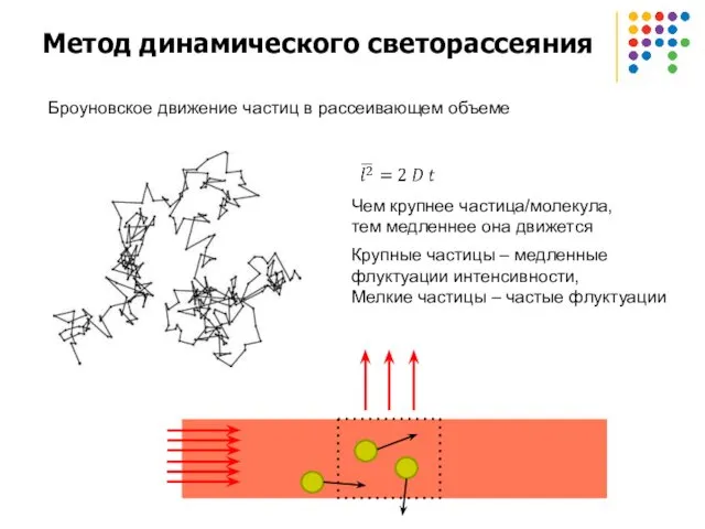 Метод динамического светорассеяния Броуновское движение частиц в рассеивающем объеме Чем крупнее