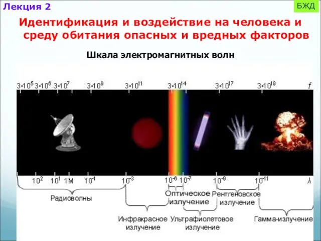 БЖД Идентификация и воздействие на человека и среду обитания опасных и