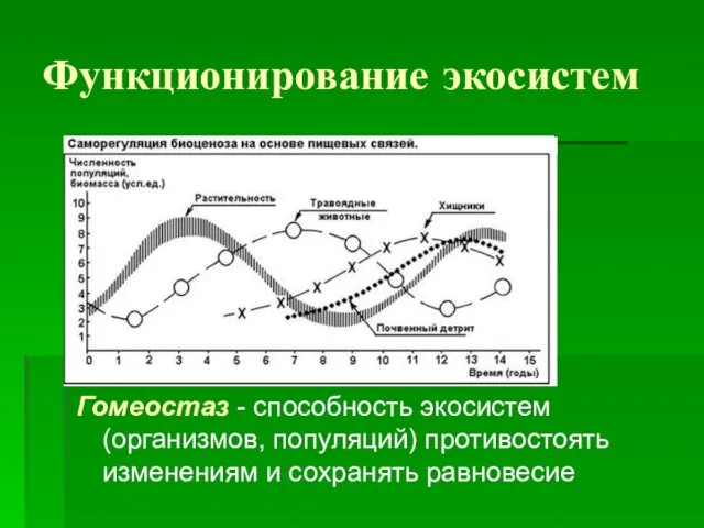 Функционирование экосистем Гомеостаз - способность экосистем (организмов, популяций) противостоять изменениям и сохранять равновесие