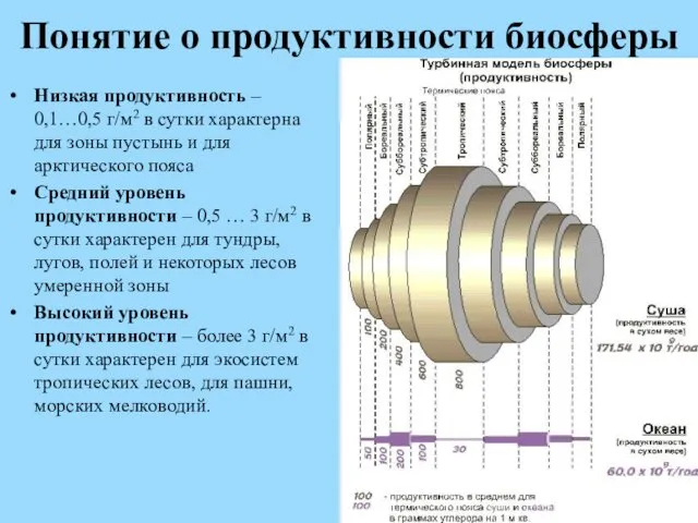 Понятие о продуктивности биосферы Низкая продуктивность – 0,1…0,5 г/м2 в сутки