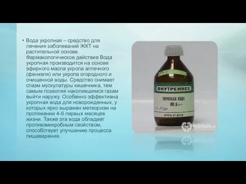 Вода укропная – средство для лечения заболеваний ЖКТ на растительной основе.