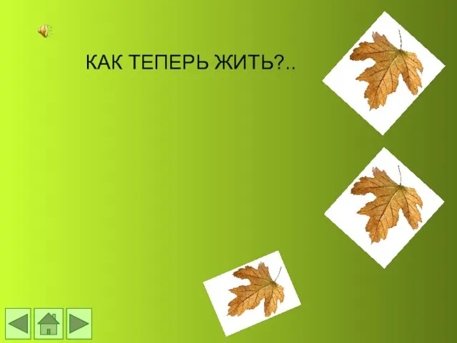 КАК ТЕПЕРЬ ЖИТЬ?..