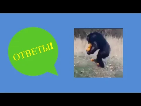 ОТВЕТЫ!