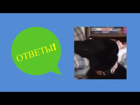 ОТВЕТЫ!