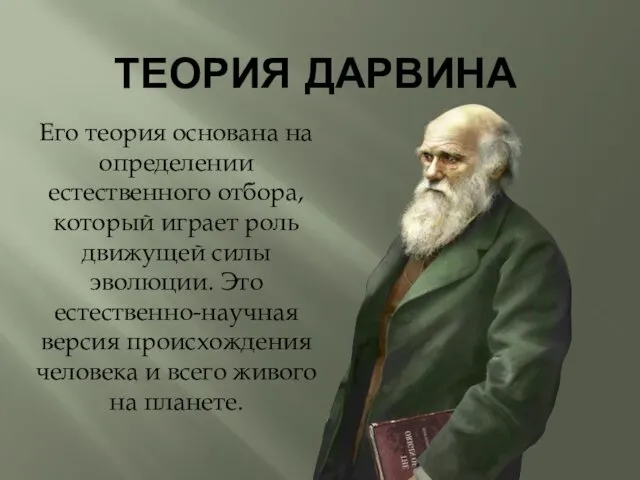 ТЕОРИЯ ДАРВИНА Его теория основана на определении естественного отбора, который играет