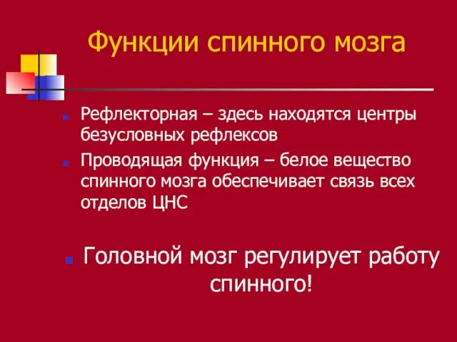 Функции спинного мозга Рефлекторная – здесь находятся центры безусловных рефлексов Проводящая