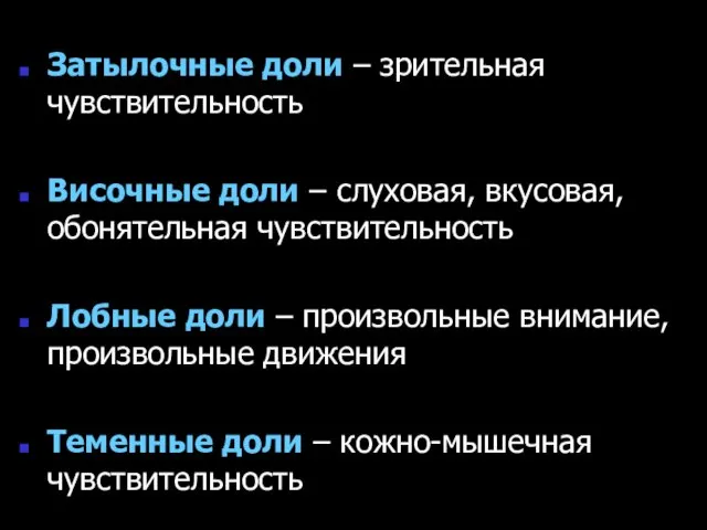 Затылочные доли – зрительная чувствительность Височные доли – слуховая, вкусовая, обонятельная