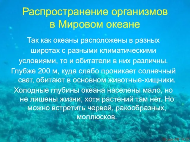 Распространение организмов в Мировом океане Так как океаны расположены в разных