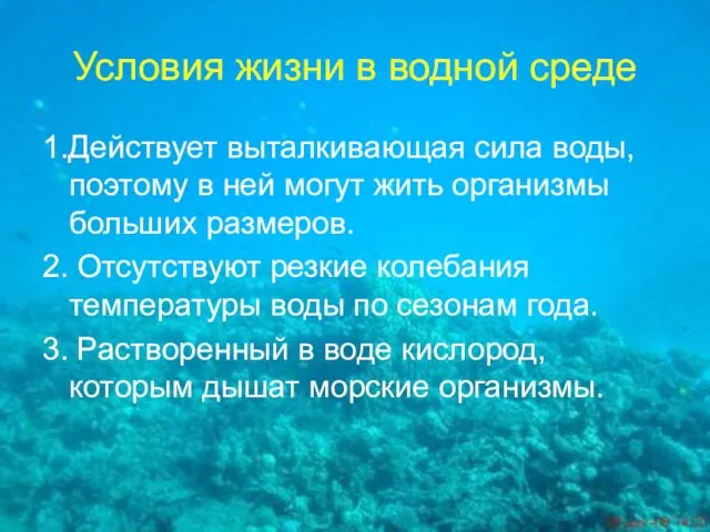 Условия жизни в водной среде 1.Действует выталкивающая сила воды, поэтому в