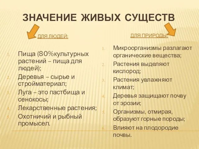 ЗНАЧЕНИЕ ЖИВЫХ СУЩЕСТВ ДЛЯ ЛЮДЕЙ: ДЛЯ ПРИРОДЫ: Пища (80%культурных растений –