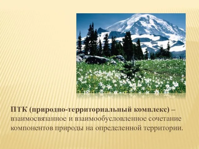 ПТК (природно-территориальный комплекс) – взаимосвязанное и взаимообусловленное сочетание компонентов природы на определенной территории.