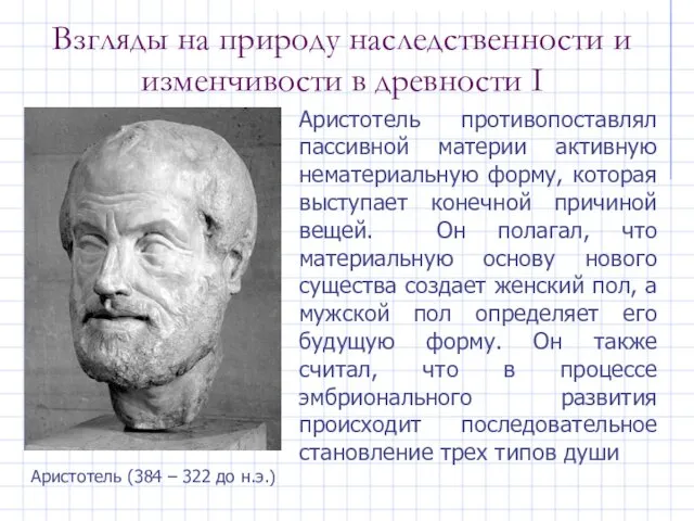 Взгляды на природу наследственности и изменчивости в древности I Аристотель (384