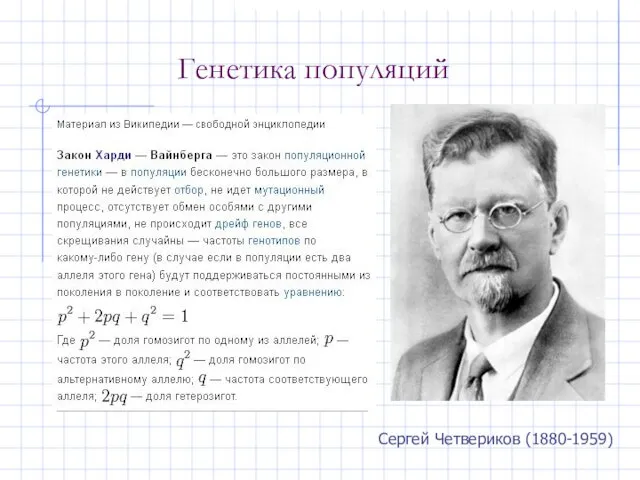 Генетика популяций Сергей Четвериков (1880-1959)