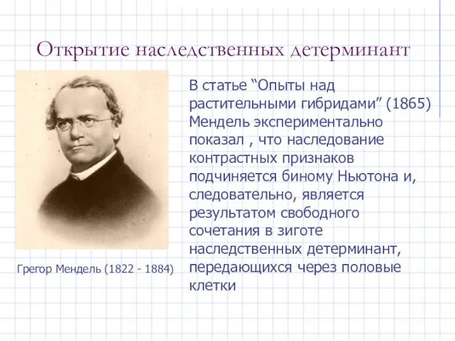 Открытие наследственных детерминант Грегор Мендель (1822 - 1884) В статье “Опыты