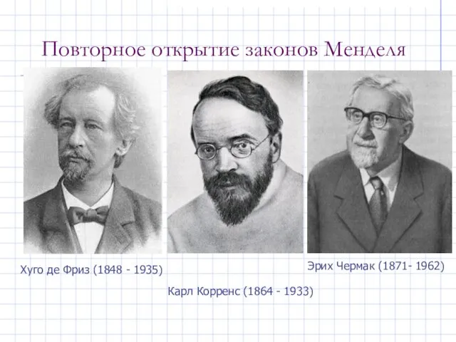 Повторное открытие законов Менделя Хуго де Фриз (1848 - 1935) Карл