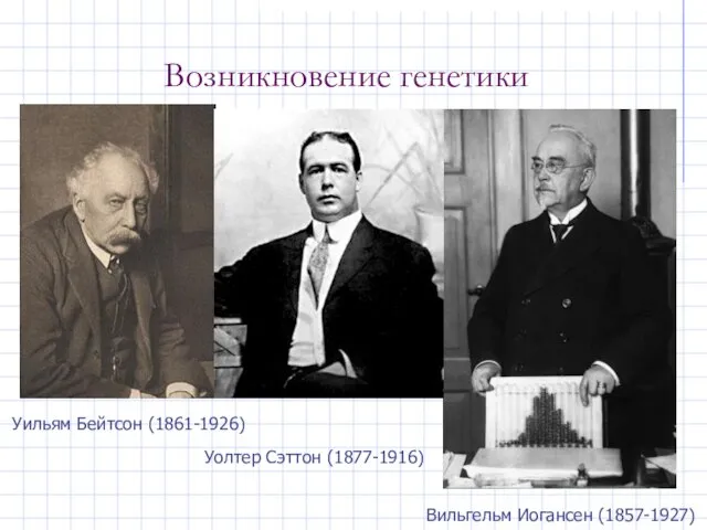 Возникновение генетики Уильям Бейтсон (1861-1926) Вильгельм Иогансен (1857-1927) Уолтер Сэттон (1877-1916)