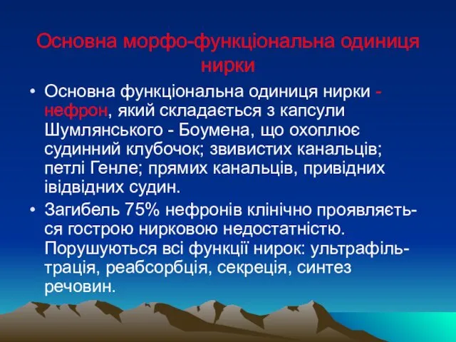 Основна морфо-функціональна одиниця нирки Основна функціональна одиниця нирки - нефрон, який