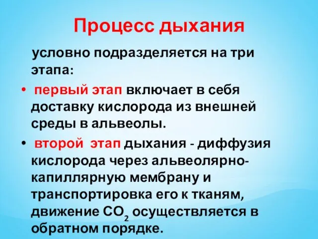 Процесс дыхания условно подразделяется на три этапа: первый этап включает в