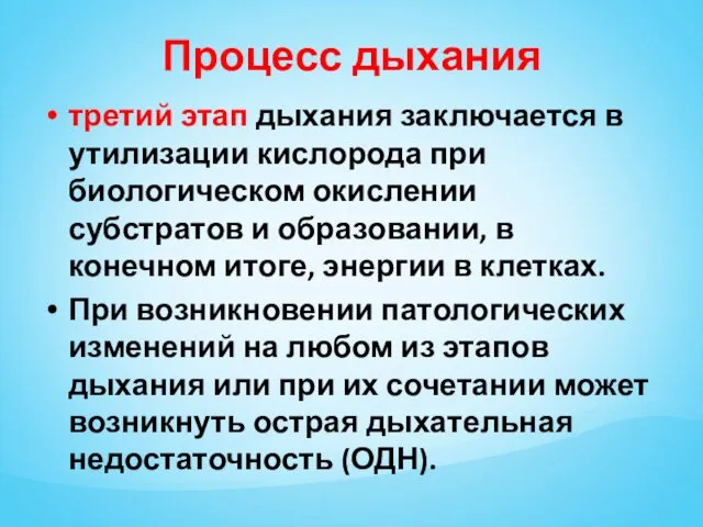 Процесс дыхания третий этап дыхания заключается в утилизации кислорода при биологическом