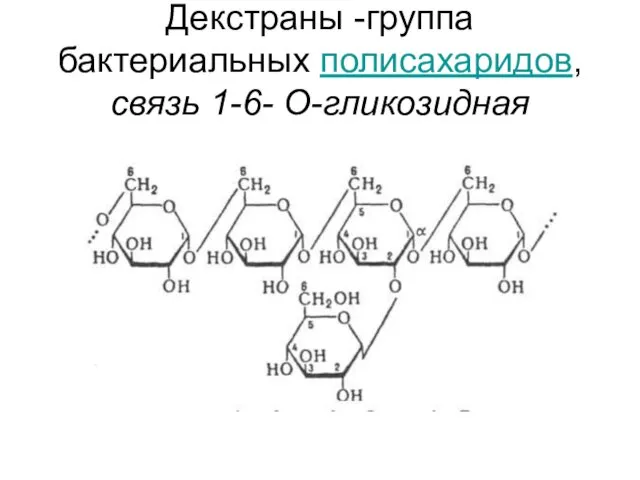 Декстраны -группа бактериальных полисахаридов, связь 1-6- О-гликозидная