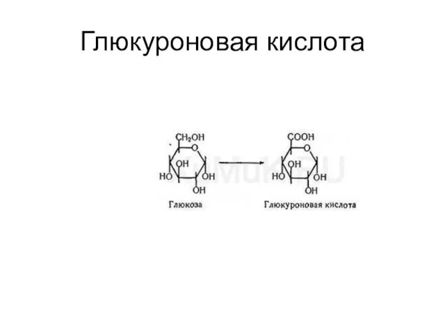 Глюкуроновая кислота