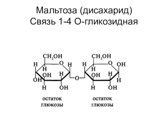 Мальтоза (дисахарид) Связь 1-4 О-гликозидная