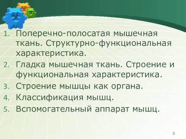 Поперечно-полосатая мышечная ткань. Структурно-функциональная характеристика. Гладка мышечная ткань. Строение и функциональная