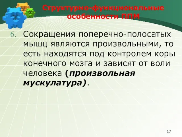 Структурно-функциональные особенности ППМ Сокращения поперечно-полосатых мышц являются произвольными, то есть находятся