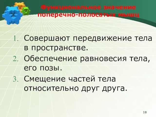 Функциональное значение поперечно-полосатых мышц Совершают передвижение тела в пространстве. Обеспечение равновесия