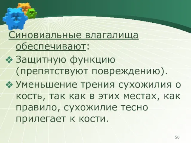 Синовиальные влагалища обеспечивают: Защитную функцию (препятствуют повреждению). Уменьшение трения сухожилия о