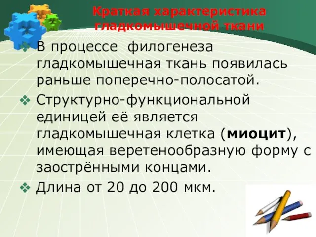 Краткая характеристика гладкомышечной ткани В процессе филогенеза гладкомышечная ткань появилась раньше