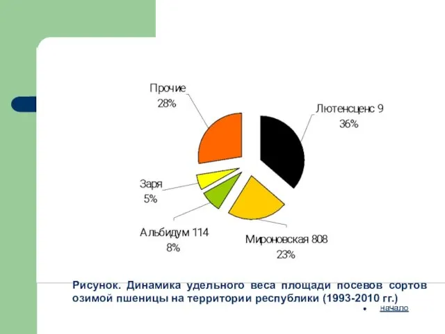 Рисунок. Динамика удельного веса площади посевов сортов озимой пшеницы на территории республики (1993-2010 гг.)