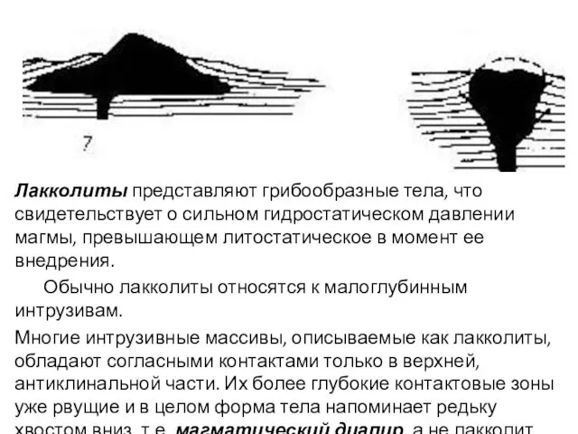 Лакколиты представляют грибообразные тела, что свидетельствует о сильном гидростатическом давлении магмы,