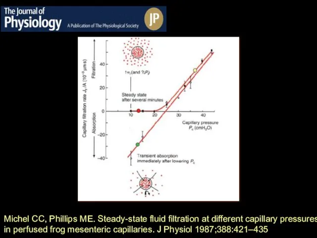 Michel CC, Phillips ME. Steady-state fluid filtration at different capillary pressures