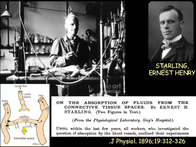 STARLING, ERNEST HENRY .J Physiol. 1896;19:312-326