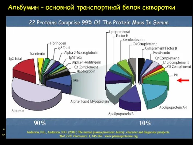 * Альбумин – основной транспортный белок сыворотки