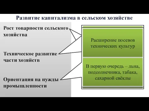 Развитие капитализма в сельском хозяйстве Рост товарности сельского хозяйства Техническое развитие